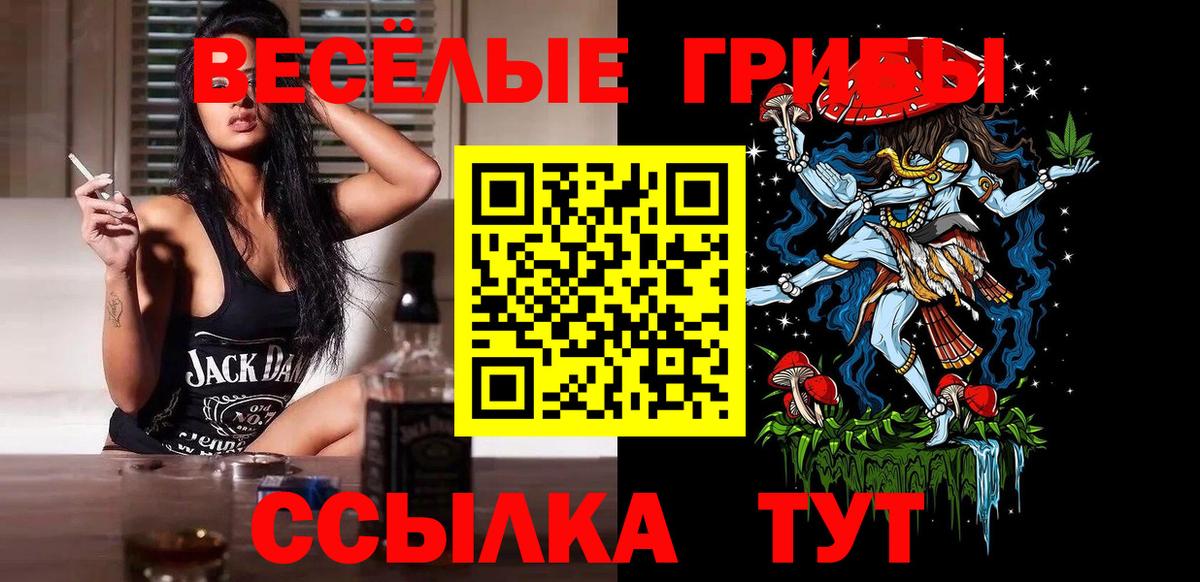 Реутов  Галлюциногенные грибы Cubensis  Вход с VPN 